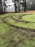 The Golf Club of Summerbrooke green damaged by vandalism