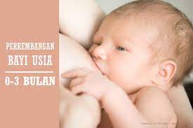 Tahap perkembangan bayi yang pertama bisa dilihat ketika usianya baru menginjak usia satu minggu hingga tiga bulan. Tahapan Perkembangan Bayi Usia 0 3 Bulan Mamapapa Id