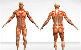 La fibromialgia es una condición que causa dolor en los músculos y cansancio. Fibromialgia Possivel Classificacao Dos Pacientes De Acordo Com Os Sintomas Creb