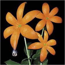 orange rangeが大切な人に届けたかった 花 の意味 歌詞検索サイト utaten ふりがな付 花 意味 愛の贈り物 花