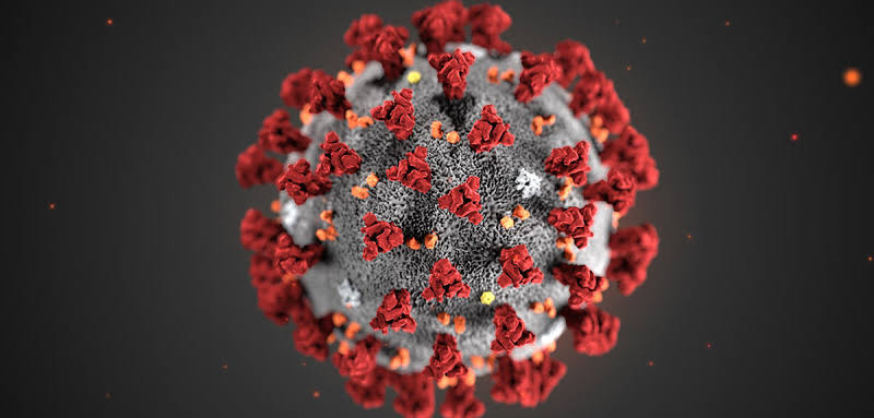  pandemic meaning
