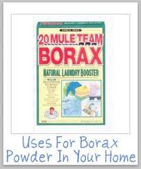 Uses For Borax Powder For Cleaning Laundry Stain Removal And More How To Clean Carpet Stain Remover Carpet How To Use Borax To Clean