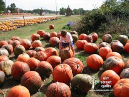 Grow Your Pumpkin Patch Elm Street Quilts