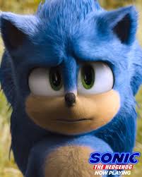 Birds Of Prey Full Movie Online Free Dailymotion Sonic The Hedgehog In Theatres Now In 2020 Hedgehog Movie Sonic The Hedgehog Sonic The Movie