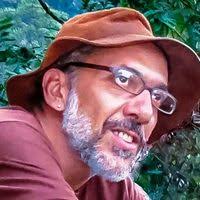 PDF) Acompanhamento do desenvolvimento de ninhego de Pulsatrix  perspicillata (Strigiformes: Strigidae) durante processo de supressão de  vegetação em aproveitamento hidrelétrico.