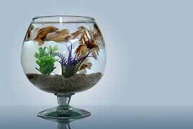 Marcel Muñoz R. photos, images, assets