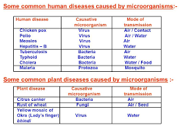 Why do we really fall ill? Why Do We Fall Ill Class 9 Science Chapter Notes Explanation Question Answers