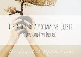 The Roots Of Autoimmune Crisis My Updated Story Of Lupus And Lyme The Essential Mother