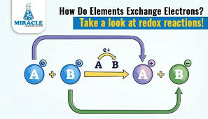Image result for Redox Reaction