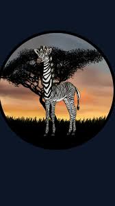 Image result for zebraffe