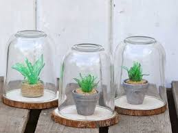 ❁ i hope you enjoy my first ever plant video! How To Make A Plastic Bottle Faux Succulents Terrarium Pillar Box Blue