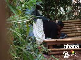 Masinde muliro garden pictures tattoo source. Masinde Muliro Gardens Shefalitayal