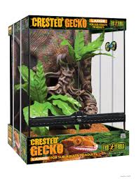 Crested Gecko Habitat Kit With Tribal Art Large 18 X 18 X 24 Exo Terra Gecko Habitat Crested Gecko Habitat Crested Gecko