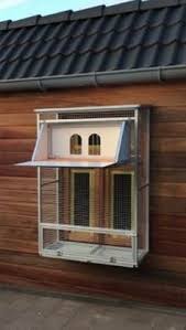 Advertentie Pigeon Loft Design Pigeon Loft Racing Pigeon Lofts