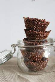 Schokoladige Quinoa Pops Blattgrun Lebensmittel Essen Roher Veganer Kuchen Gesunde Susse Snacks