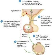 Pin On Health
