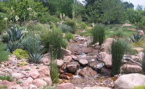 Denver water coined the word in 1981 by combining landscape and the greek word xeros, which means dry. The Seven Principles Of Xeriscape Habitat Network
