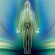 Light sonopuncture 250 msec 7 sec 0.250 sec 0.000007 secvision pointsbladder meridianprofessor joie jones university of california irvinesonopuncture is indistinguishable from needling.two orders of magnitude faster than any known biological process. Q A With Eileen Mckusick The Shift Network