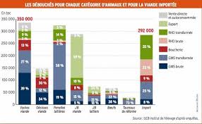 Les chiffres de consommations en 2015 ont légèrement. La Viande Bovine Se Consomme Davantage Transformee Mais Moins Importee Reussir Bovins Viande
