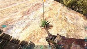 Cactus Sap On Ragnarok Sw Location Youtube