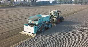 Rollrasen Produktion Kaum Noch Ein Stein In Der Erde