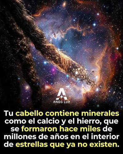 Sí, la afirmación "estamos hechos de polvo de estrellas" es científicamente  cierta, ya que los elementos químicos que componen nuestros cuerpos, como el  carbono, el oxígeno y el hierro, se formaron en