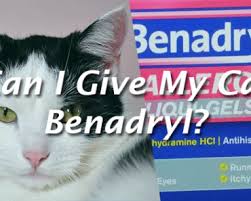 Maybe you would like to learn more about one of these? How Long Does Prozac Take To Work In Cats