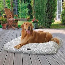 We did not find results for: Costco Dog Beds Washable Dogs Life Beds