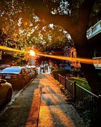 Being Embraced By The Light Teampixel Sunlight Summer Boston Sunset