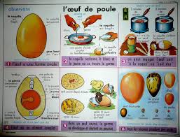 Manuels Anciens L Oeuf De Poule