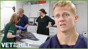 Dr Scott Wins Over Aggressive Rottweiler! 😱 Vet On The Hill Extended