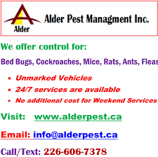 Amidst a sea of pest control experts, one will definitely stand out from the rest. Alder Pest Management Inc