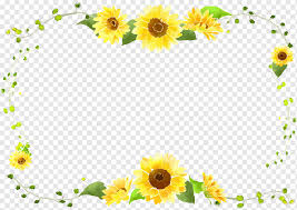 Sunflower 3d stickers 3 stars. Sunflower Border Curve Decorative Foliage Sunflower Frame Curve Png Pngwing