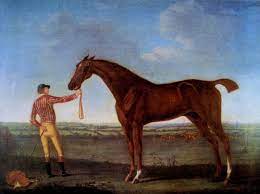 When the national museum of racing and hall of fame opened in the 1950s, sir archy was among the first horses to be inducted. Diomed Wikipedia