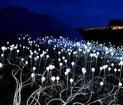 Artist Bruce Munro Creates Brilliant Fiber Optic Fields Of Light