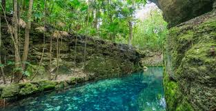 En un comunicado, el parque xenses de grupo xcaret lamentó la muerte del menor como consecuencia del accidente en sus instalaciones. Rlqzi2cflh9s4m
