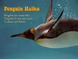 Penguin Haiku Haiku Funny Haiku Haiku Poems
