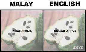 Persimmons (pisang kaki) malaysia online plant nursery mencari redha allah: What S Pandan And Ciku In English We Dug Up Translations Of 16 Produce Malaysians Love