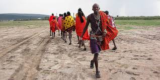 Luca came to kuku group ranch, the maasai 283,000 acres reservation where campi ya kanzi is, in 1975 when he was just 11 years old. The Maasai Brand Is Valuable And It Should Belong To The Maasai People One