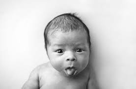 Ashley Cormier Photography