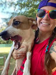 Recognize this stray puppy from Little Rock?