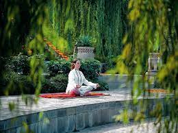 Check spelling or type a new query. Best Yoga Retreats In India For Health Rejuvenation