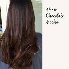 This shade will look good with many skin colors and skin tones. How To Make An Interesting Art Piece Using Tree Branches Ehow Mocha Hair Mocha Color Hair Fall Hair Color For Brunettes