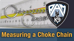 How To Measure A Dog For A Choke Chain By Ray Allen Manufacturing