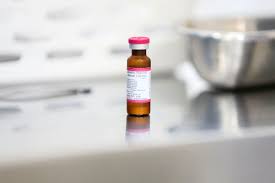 1 dose + reforco anual. Ministerio Distribui Mais De 16 Milhoes De Doses Da Triplice Viral Agencia Brasil