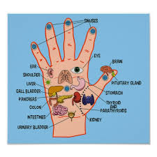 hand reflexology chart