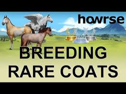 Breeding Rare Coats Howrse Howrse Trips 2018 Youtube