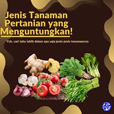 Maybe you would like to learn more about one of these? Jenis Jenis Tanaman Pertanian Yang Menguntungkan Petani