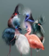 Birds In My Area Now Some Of My Favourite Birds On A Single Print Which One Is Your Favourite Now Available At My Etsy Page Bird Illustration Bird Art Art