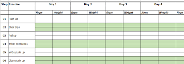 Excel Template Exercise And Workout Tracking Template By